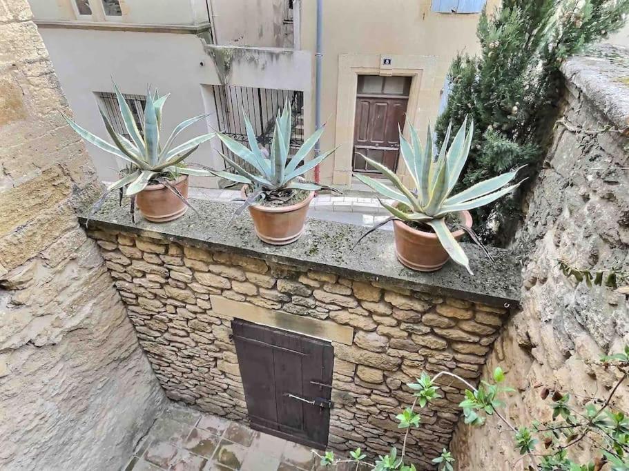 Chez Lydia - Loft Cosy, Depart Canoe A Pied, Proche Pont-Du-Gard Et Uzes เรอมูแล็งส์ ภายนอก รูปภาพ